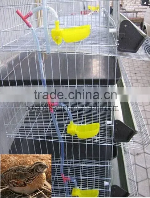 Quail Farm automatic drinker and feeder Equipment For Sale