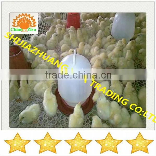 HDPE plastic poultry layer chicken netting fence