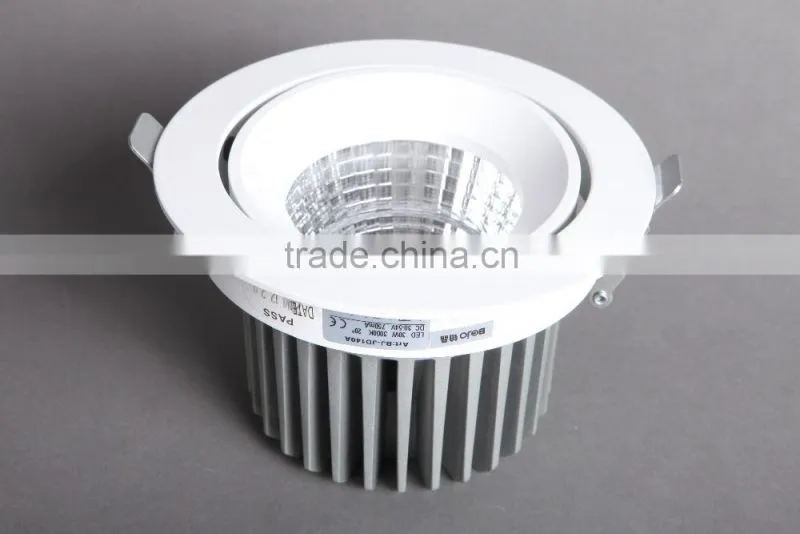LED Downlight 30W With CE & RoHs Certification, LED Downlights