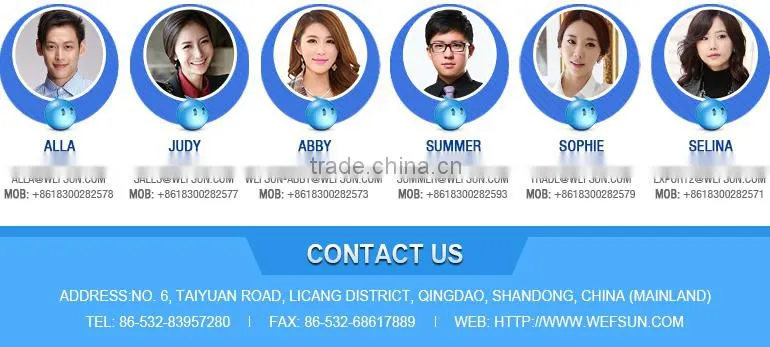 steel frame roof structure