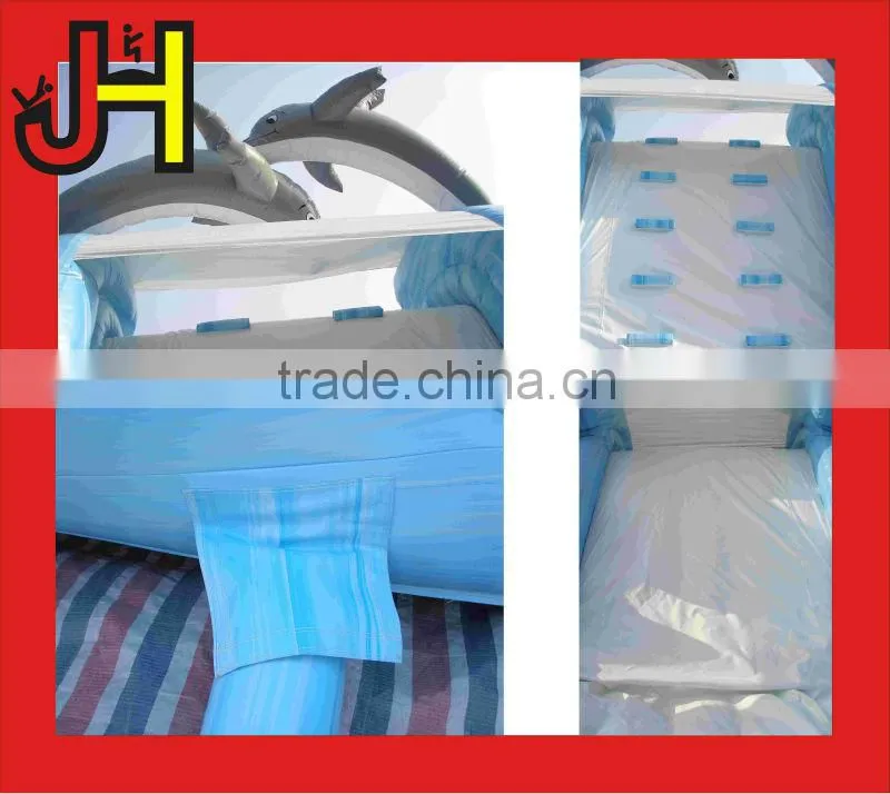 Inflatable Slide Type Customized Dolphin Inflatable Water Slides For Sale