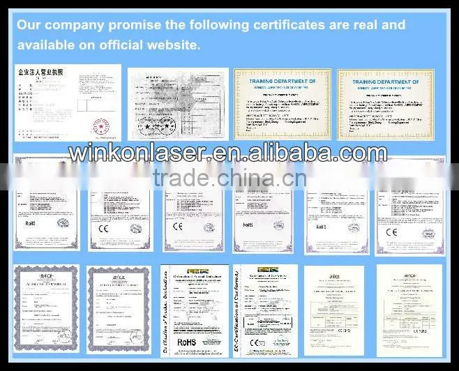 12 paddles 650nm/940nm double wavelength effective diode Lipo Laser for body slimming