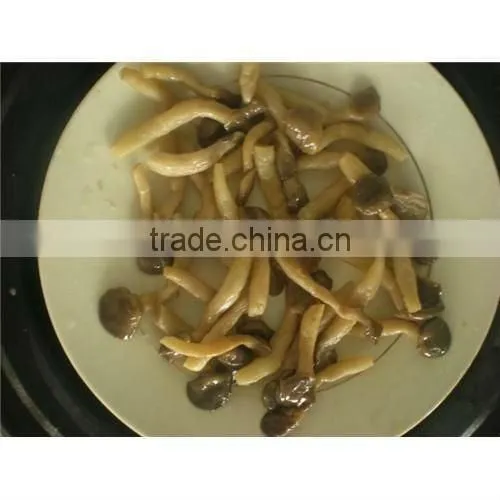salted shimeji mushroom in brine