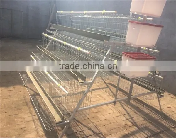 high quality galvanized welded wire chicken cage for poultry