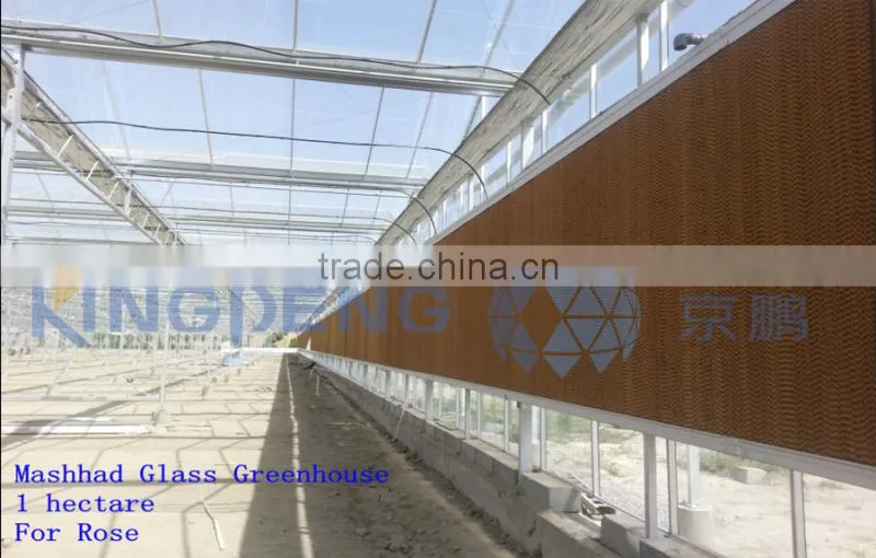 commercial rose multi-span glass green house for sale