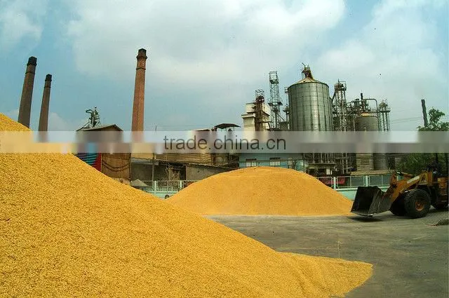QIE 2013 New Complete Rice Milling Plant