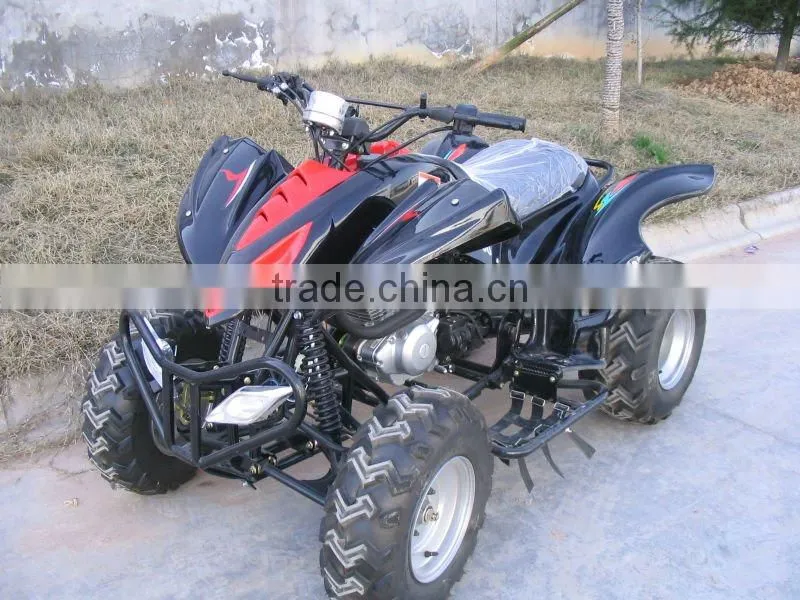 Gas-Powered 4-Stroke Engine Quads Bike with 300CC Displacement WZAT3001