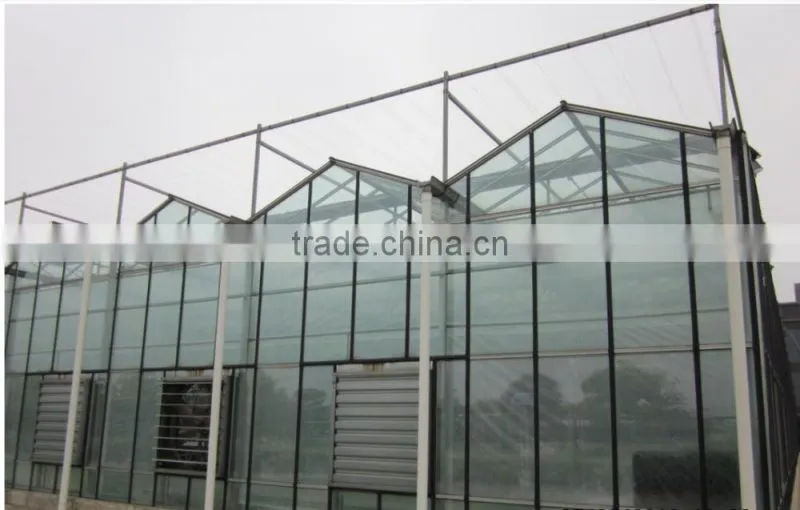 orchid greenhouse/glass greenhouse for sale/greenhouse agriculture