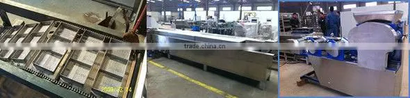 Taiwan instant noodle machine