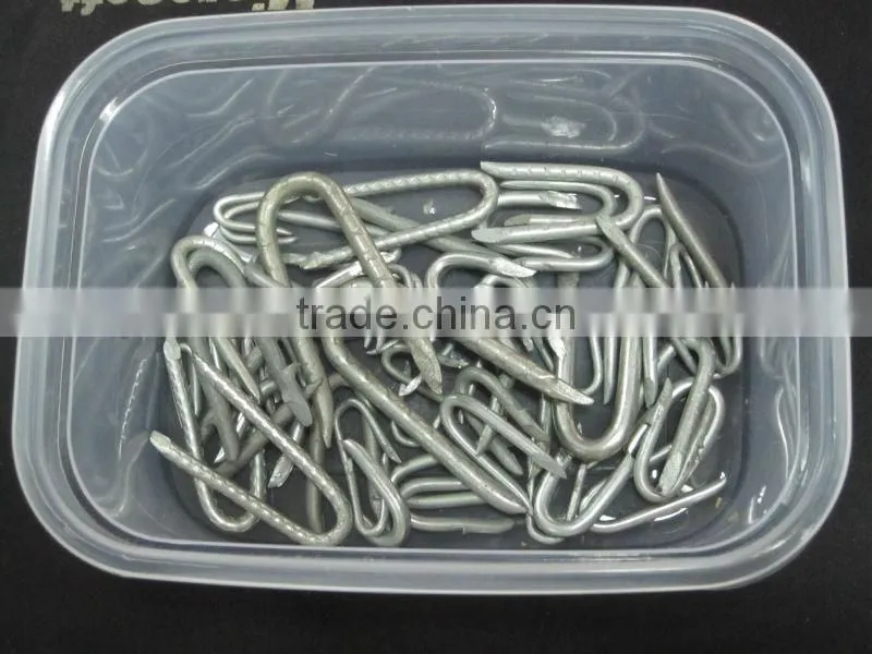 Fence Staples U Shape Nails