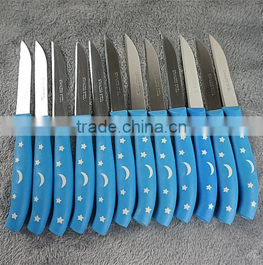 51010 12PCS STAINLESS STEEL fruit Knife Set