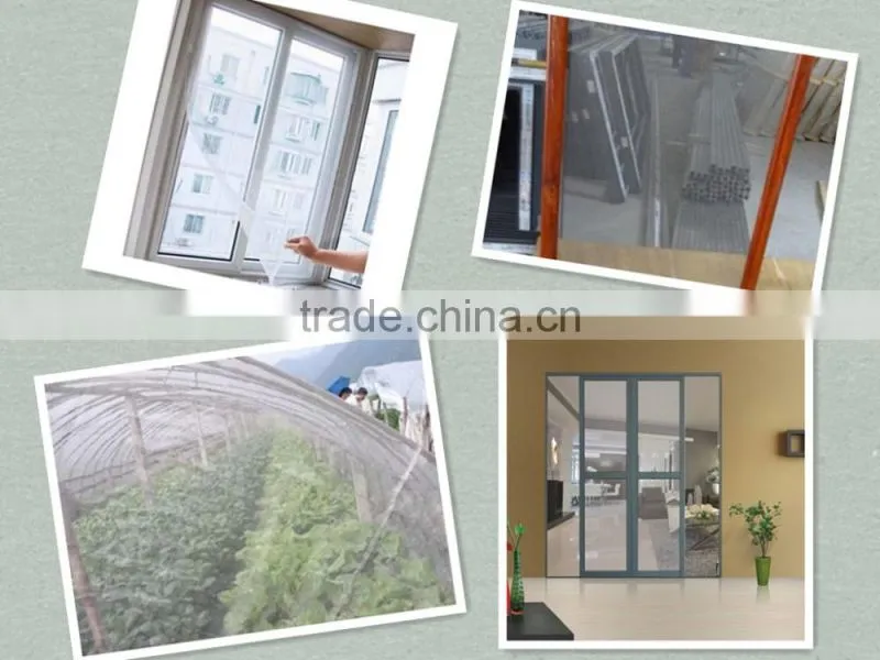 cheap price palstic window insect screen mesh from china factory