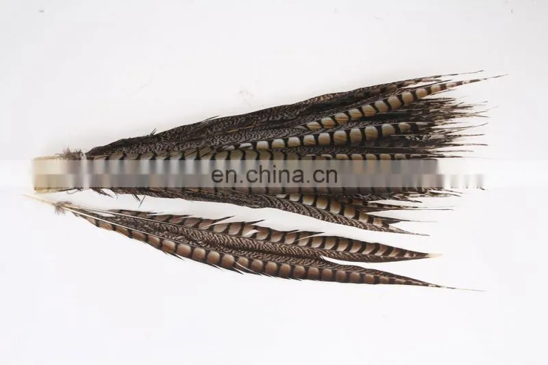 best quality 30-40cm pheasant feather