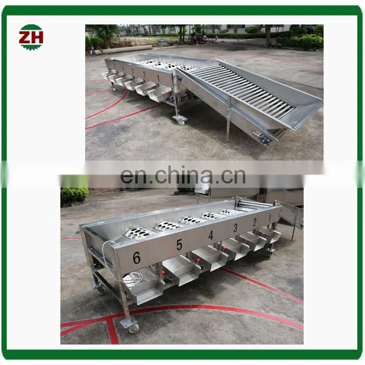 High effective blueberry fruit selecting machine blueberry fruit grading machine