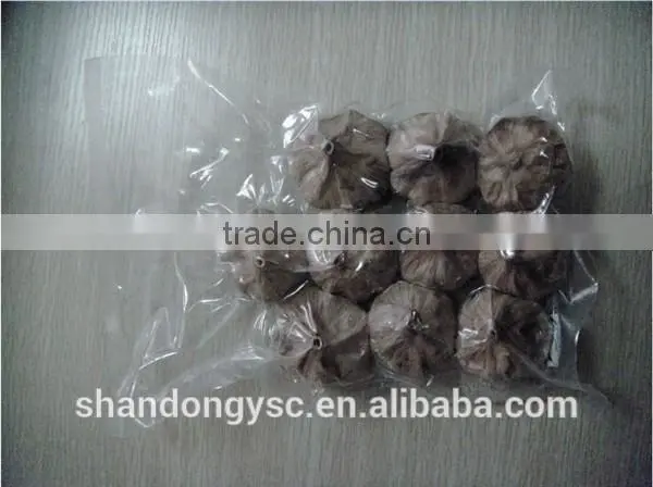 China garlic factory offers best natural black garlic price