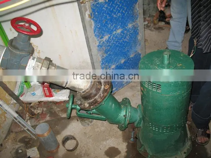 brushless excitation oblique type 40kw mini hydro turgo turbine generators for home use