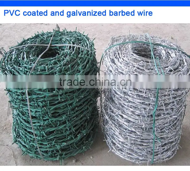 protection hot dip 14 gauge galvanized barbed wire