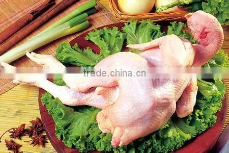 New design electric meat deboner/deboning machine for sale