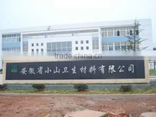 Anhui Xiaoshan Medical Material Co., Ltd. company overview - view 1