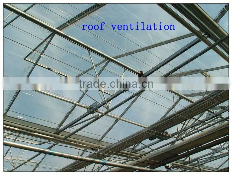 hot sale high quality galvanized Greenhouse Window