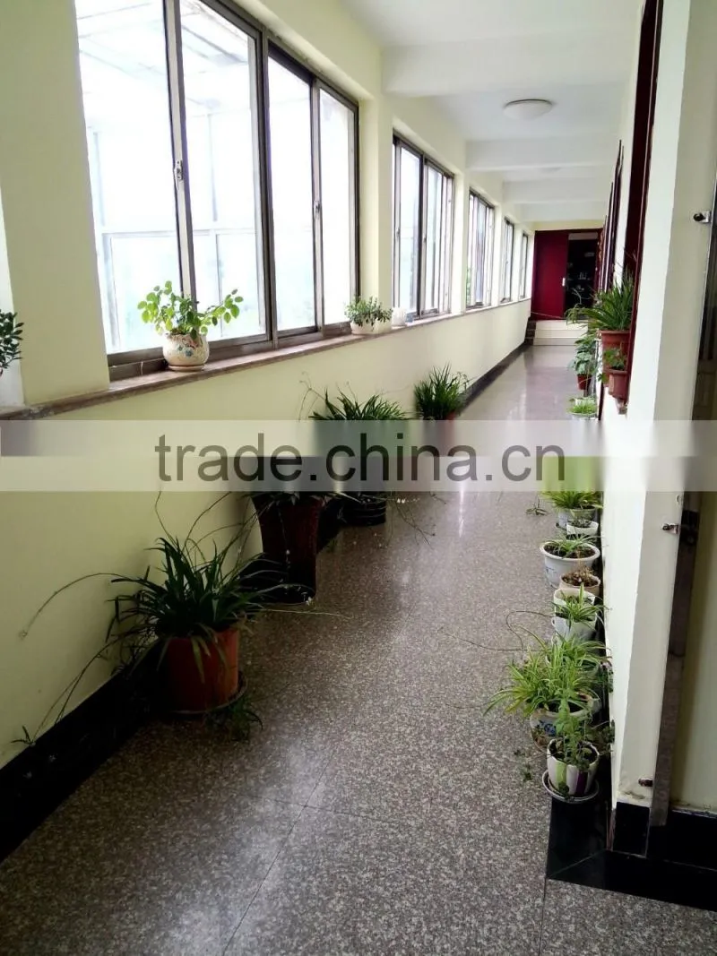 Precise pulp moulding plant