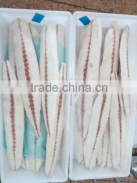 Frozen Oilfish fillets new arrive
