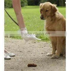 Pet Supplies