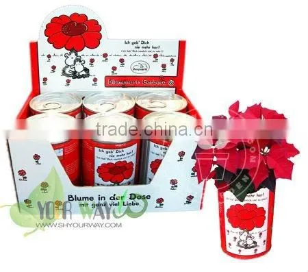 flower can,can flower,flower tin