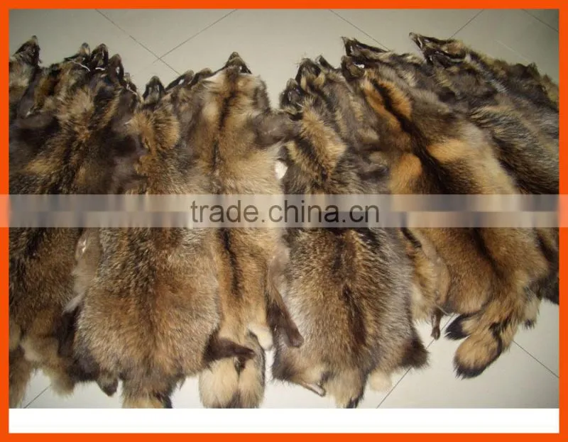 tanned raccoon fur skin