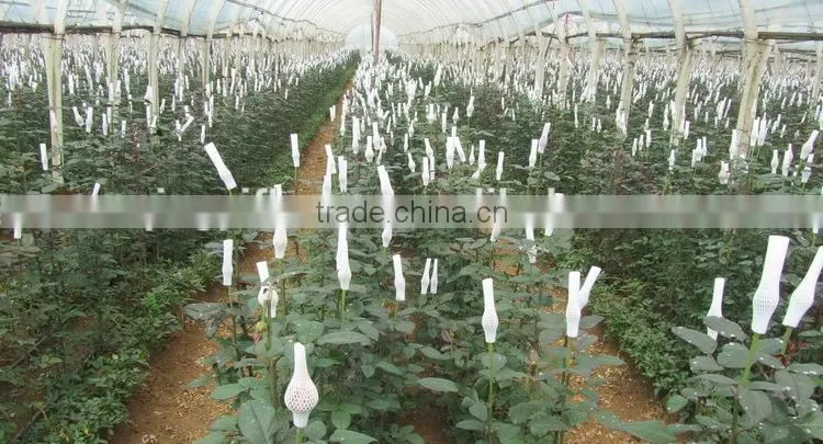 Reasonable price crazy selling hydrangea for wedding background decoration