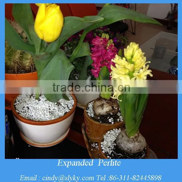 agricultural perlite price