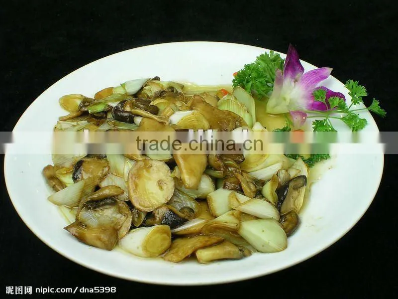 Canned Suillus Mushroom In Brine