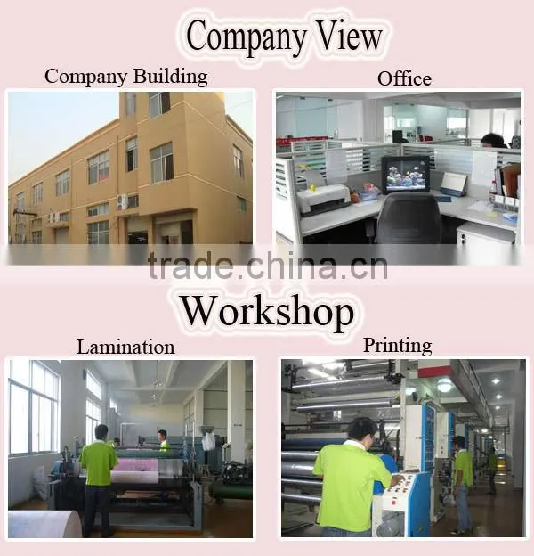 non woven PP bag