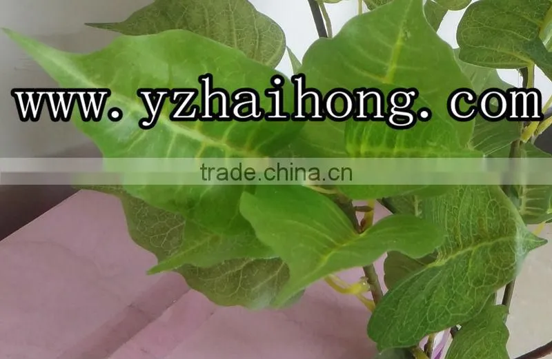 Artificial pipal tree leaves/fake linden leaf /artificial linden leaves/plastic pipal fronds