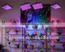 300w led grow light vegetable with 8 pcs fans