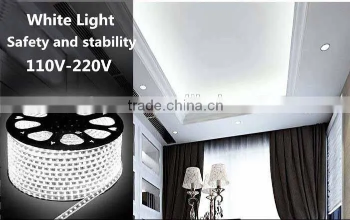 High Quality Outdoor Wall Lighting AC110-230V Strip Light Flexible Rope Light
