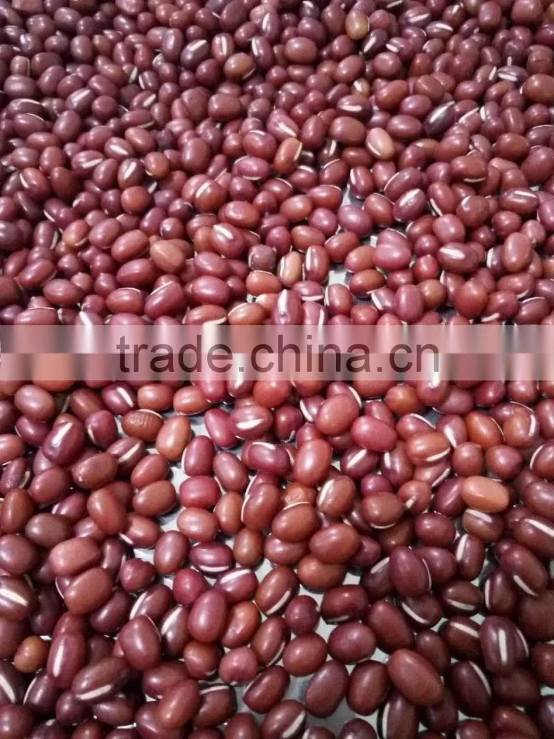 Chinese New crop red adzuki bean