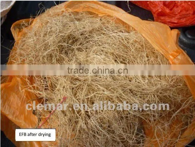 Vegetable/apple/fruit mesh belt dryer