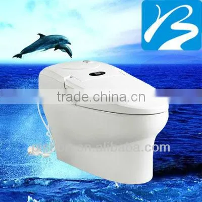 Siphon Automatic Toilet