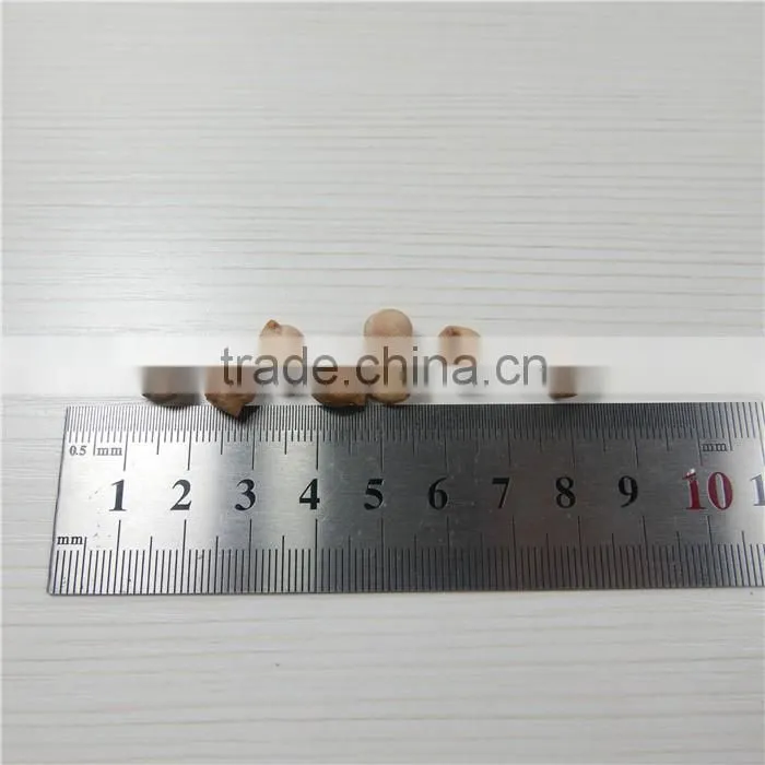 best quality chickpea market price HPS white chick pea beans
