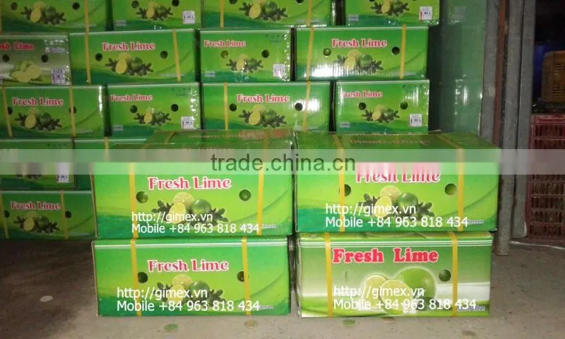 FRESH SEEDLESS LIME