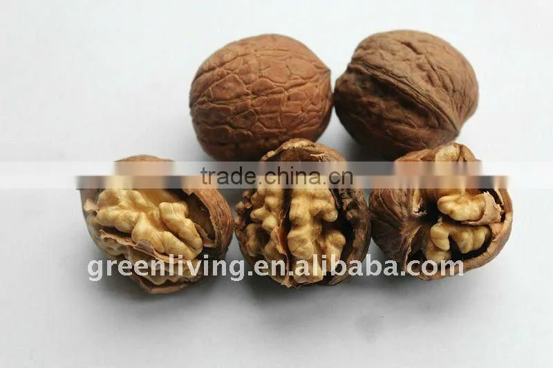 walnuts in shell or kernel 30mm above good quality and price