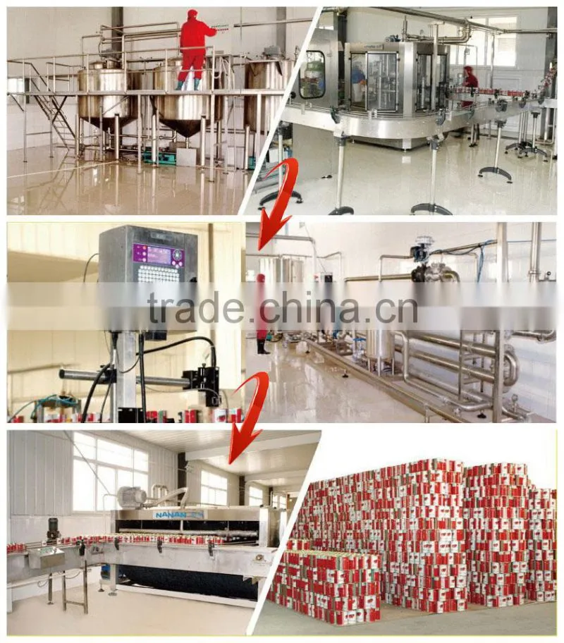 Color Printing Laminated Plastic Tomato Paste Sachet