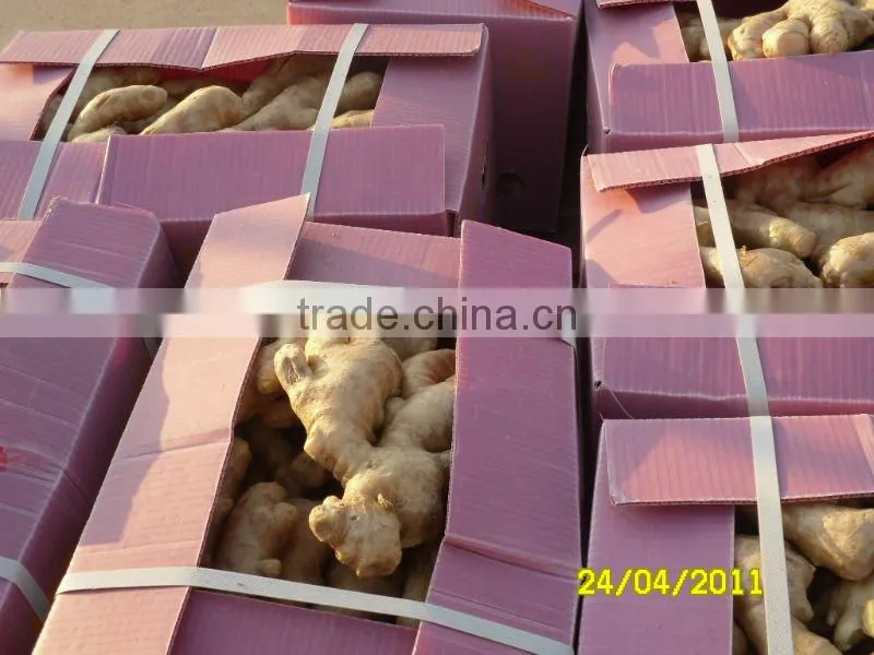 Organic fresh ginger