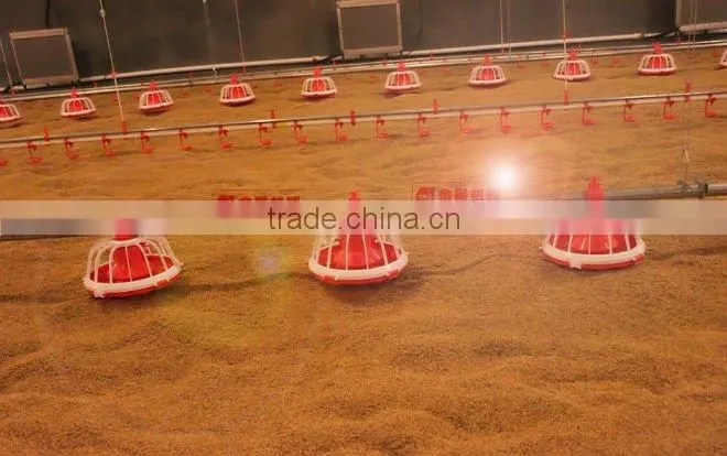 Goldenest automatic egg collection system chicken nesting boxes factory price JCJ15-A02