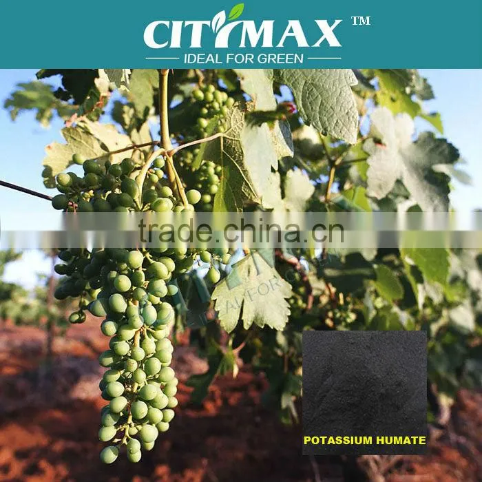 Water Soluble Potassium Humic Acid