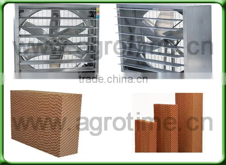 Venlo Greenhouse PC Sheet glass covering hot sale greenhouse/glass greenhouse
