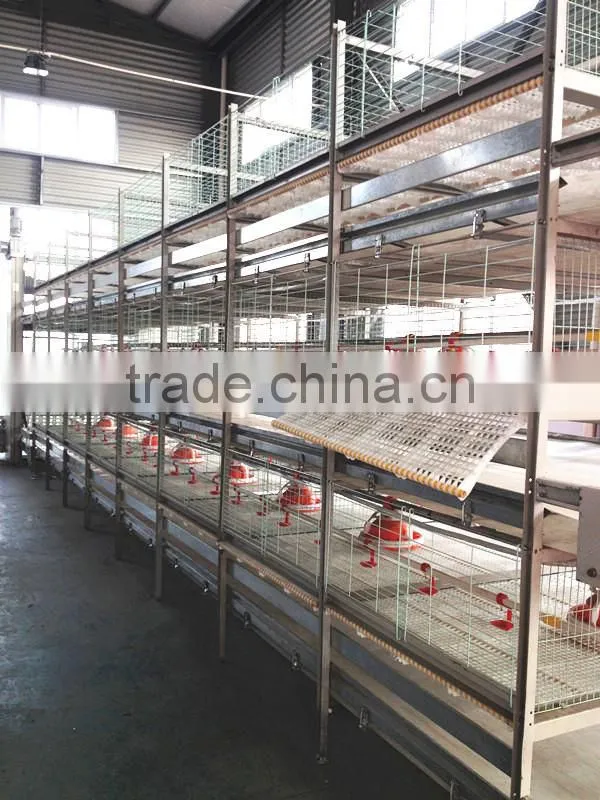 New Design Broiler Cage System
