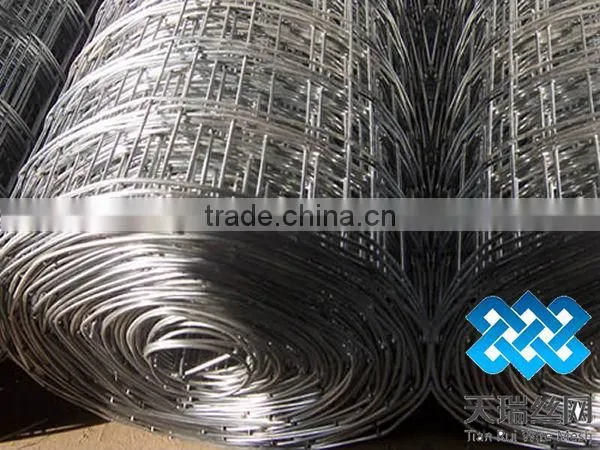 3x3 galvanized weled wire mesh (factory)