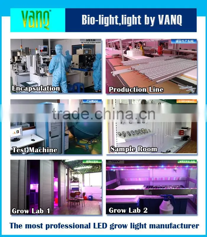 Flowering LED grow light par38 e27 18W for mini grow box